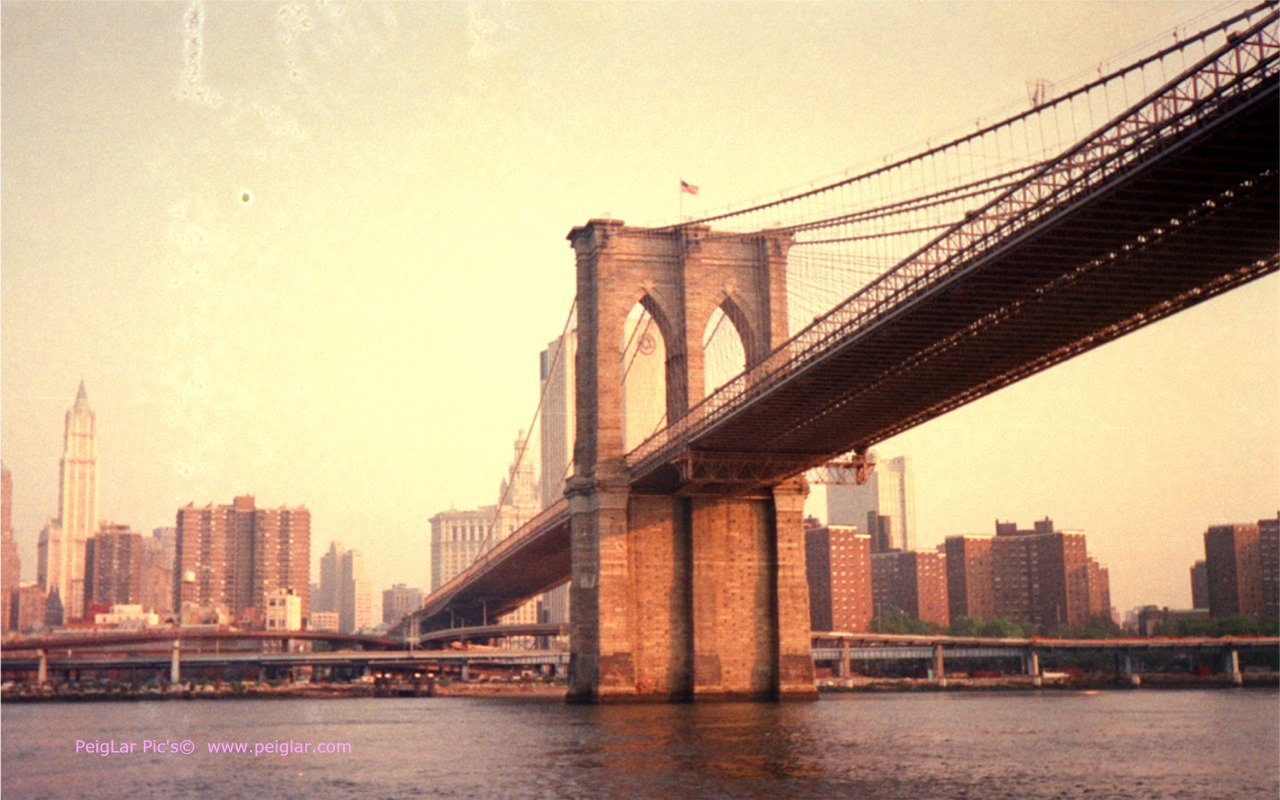 ny 110415_1213_13dt.jpg